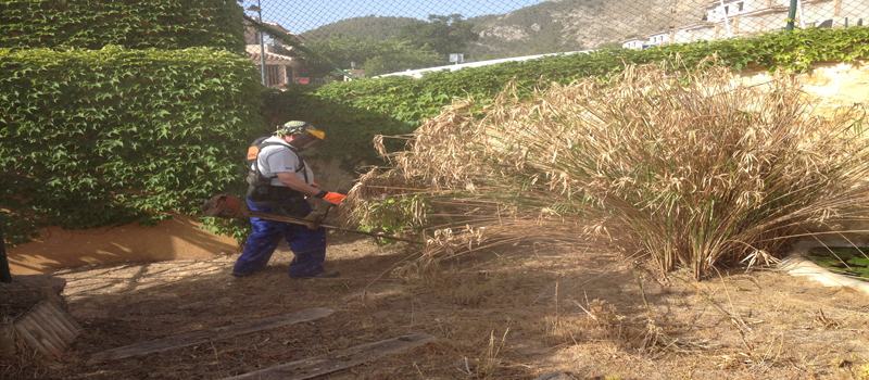 trabajo de desbroce el runar